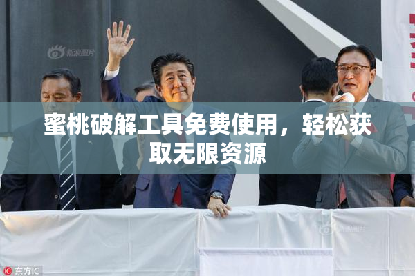 蜜桃破解工具免费使用，轻松获取无限资源