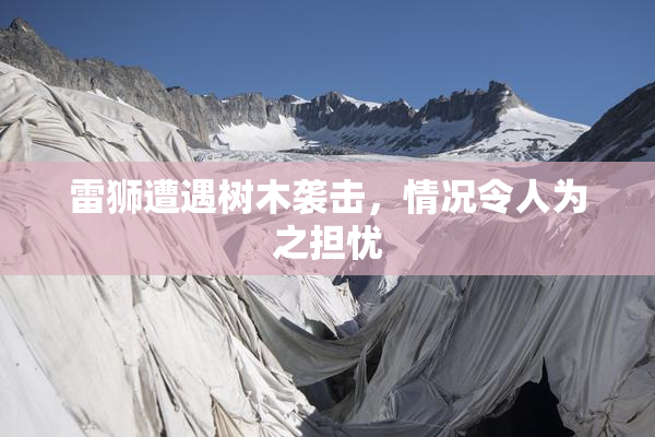 雷狮遭遇树木袭击，情况令人为之担忧