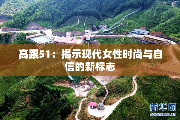 高跟51：揭示现代女性时尚与自信的新标志