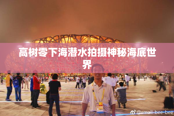 高树零下海潜水拍摄神秘海底世界