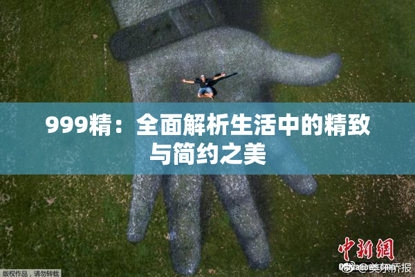 999精：全面解析生活中的精致与简约之美