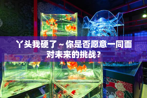 丫头我硬了～你是否愿意一同面对未来的挑战？