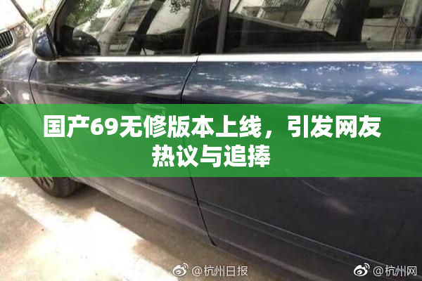 国产69无修版本上线，引发网友热议与追捧
