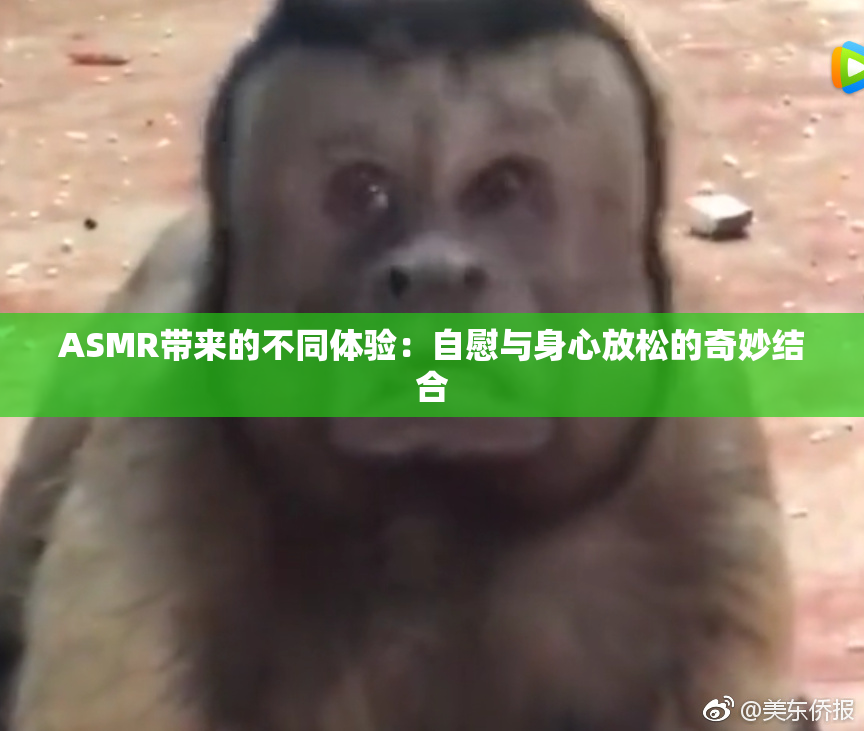 ASMR带来的不同体验：自慰与身心放松的奇妙结合