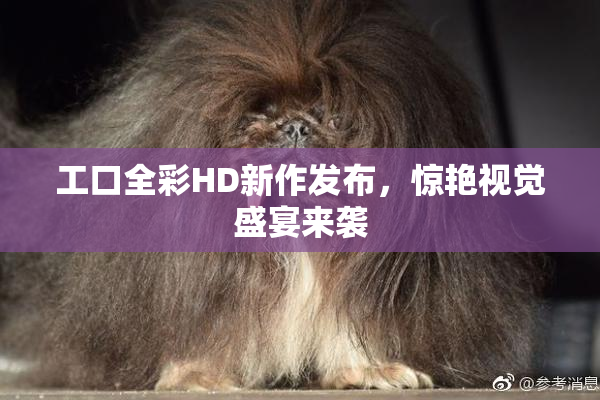 工口全彩HD新作发布，惊艳视觉盛宴来袭