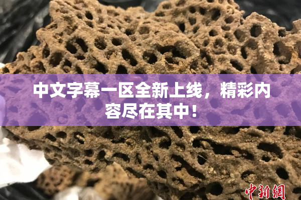 中文字幕一区全新上线，精彩内容尽在其中！