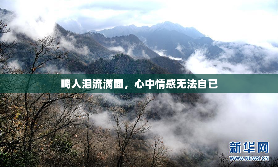 鸣人泪流满面，心中情感无法自已