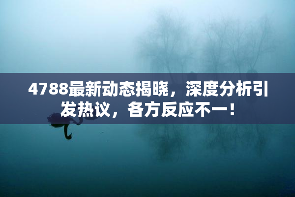 4788最新动态揭晓，深度分析引发热议，各方反应不一！