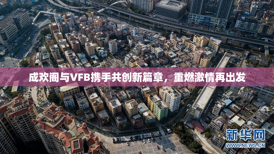成欢阁与VFB携手共创新篇章，重燃激情再出发
