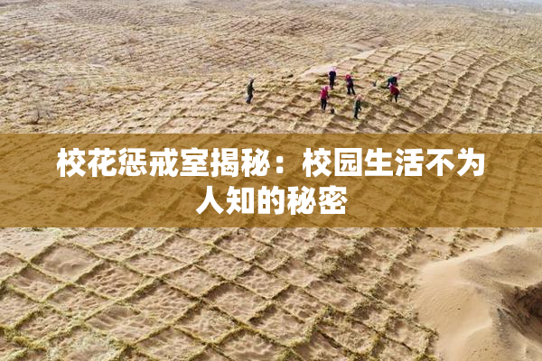 校花惩戒室揭秘：校园生活不为人知的秘密