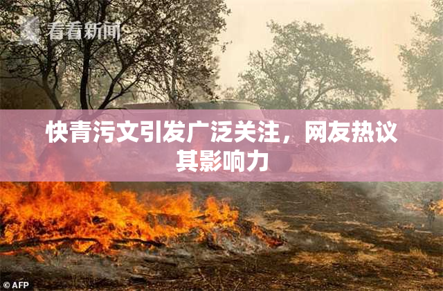 快青污文引发广泛关注，网友热议其影响力