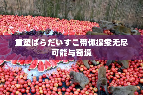 重塑ぱらだいすこ带你探索无尽可能与奇境