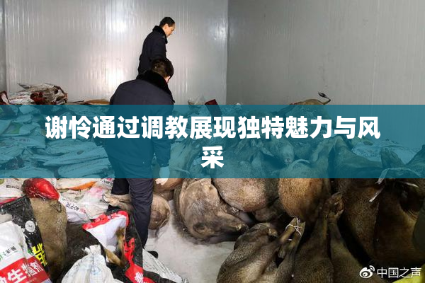 谢怜通过调教展现独特魅力与风采