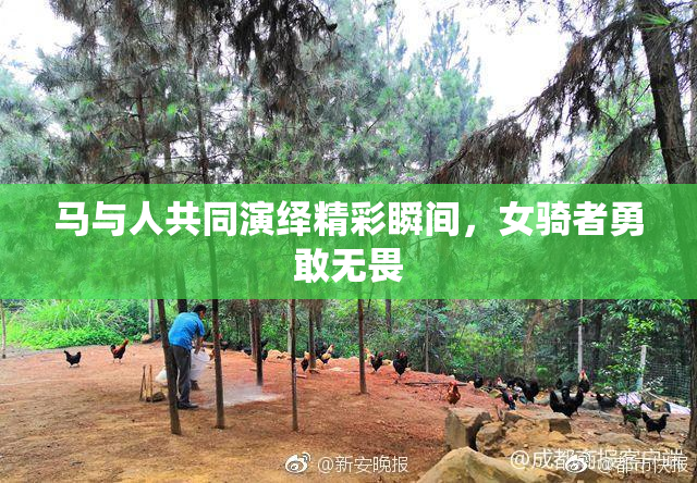 马与人共同演绎精彩瞬间，女骑者勇敢无畏