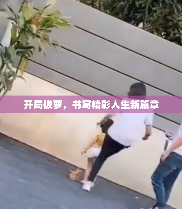 开局拔萝，书写精彩人生新篇章