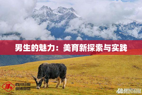 男生的魅力：美育新探索与实践