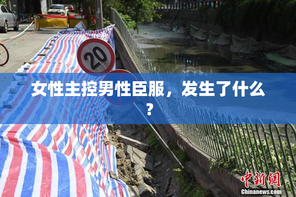 女性主控男性臣服，发生了什么？