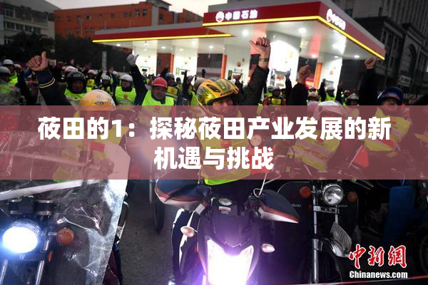 莜田的1：探秘莜田产业发展的新机遇与挑战