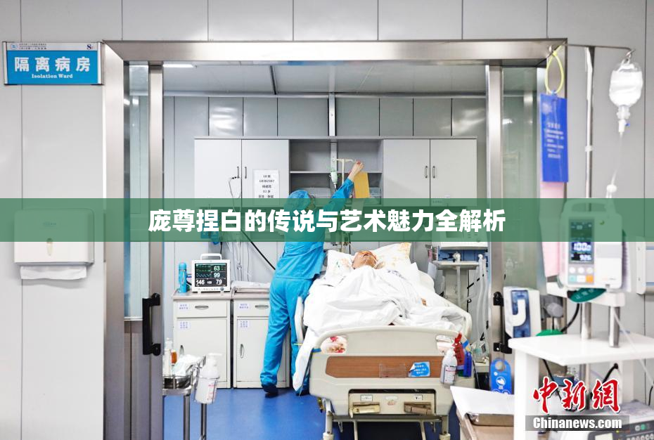 庞尊捏白的传说与艺术魅力全解析
