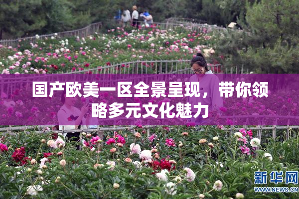国产欧美一区全景呈现，带你领略多元文化魅力