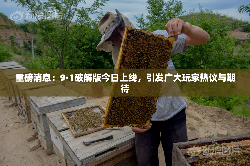 重磅消息：9·1破解版今日上线，引发广大玩家热议与期待