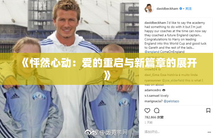 《怦然心动：爱的重启与新篇章的展开》
