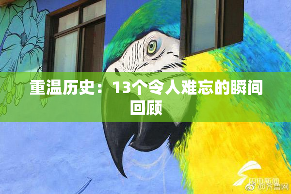 重温历史：13个令人难忘的瞬间回顾