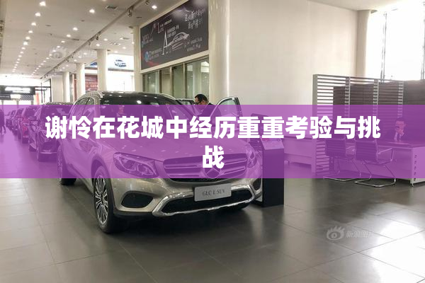 谢怜在花城中经历重重考验与挑战