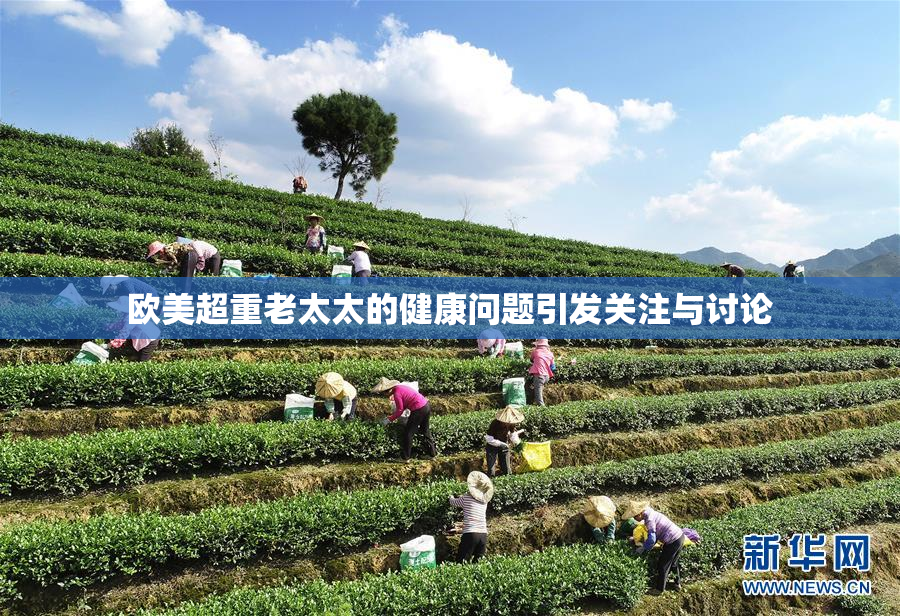 欧美超重老太太的健康问题引发关注与讨论