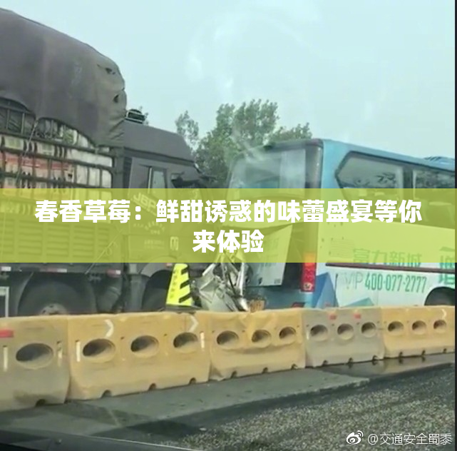 春香草莓：鲜甜诱惑的味蕾盛宴等你来体验