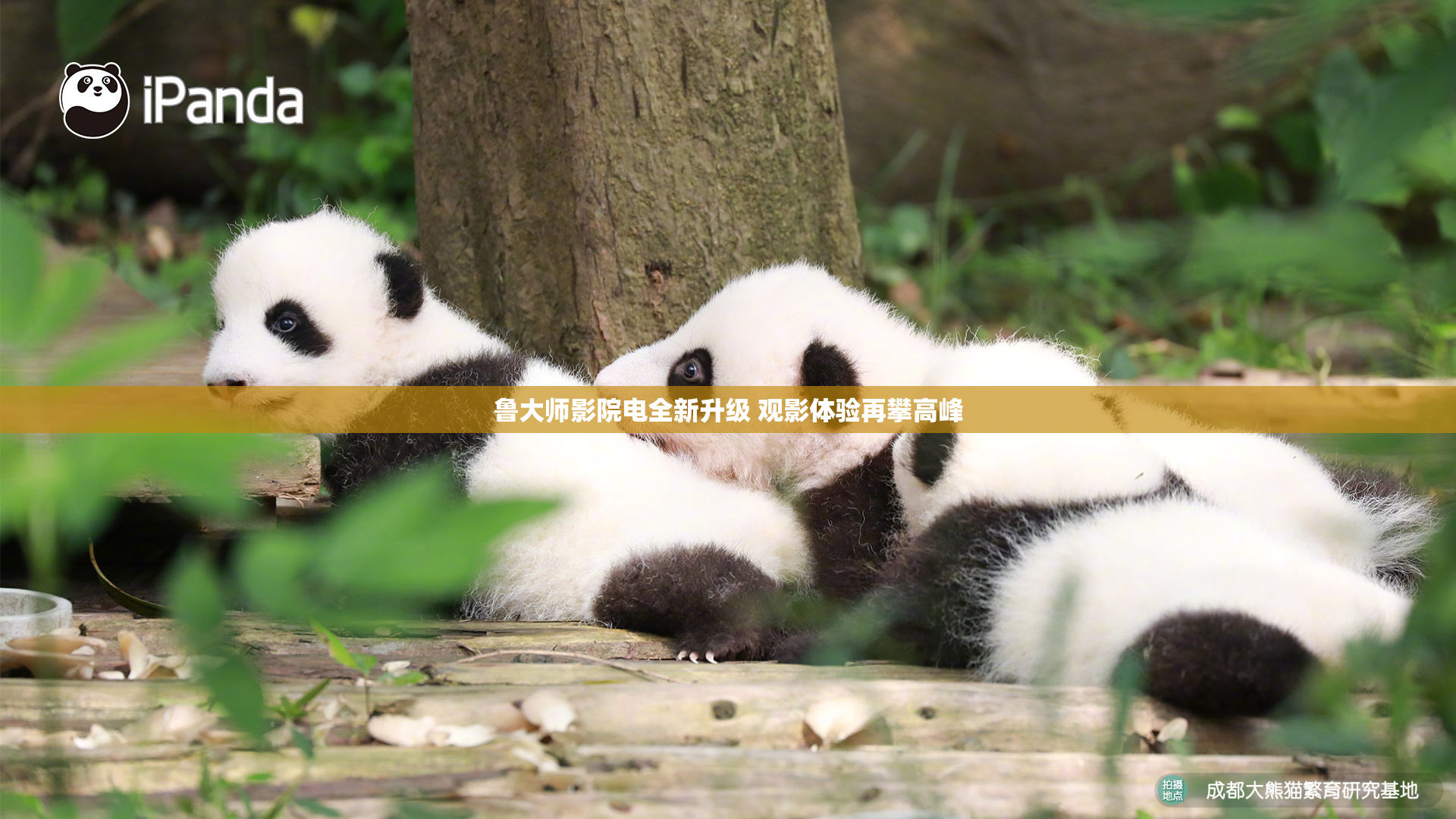 鲁大师影院电全新升级 观影体验再攀高峰