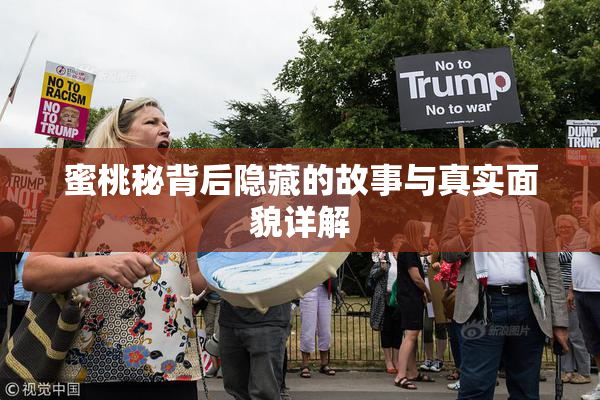 蜜桃秘背后隐藏的故事与真实面貌详解