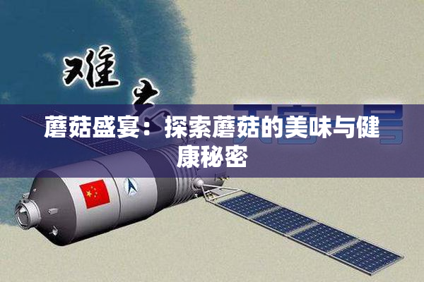 蘑菇盛宴：探索蘑菇的美味与健康秘密