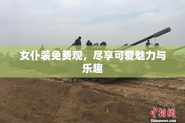 女仆装免费观，尽享可爱魅力与乐趣