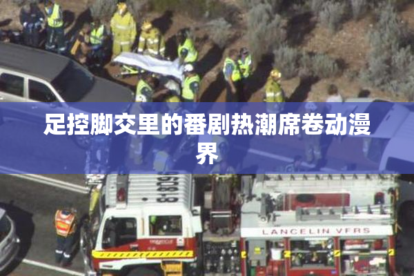 足控脚交里的番剧热潮席卷动漫界