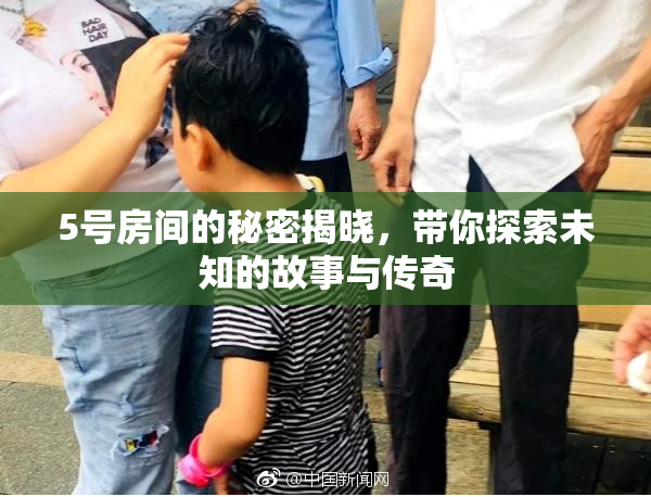 5号房间的秘密揭晓，带你探索未知的故事与传奇