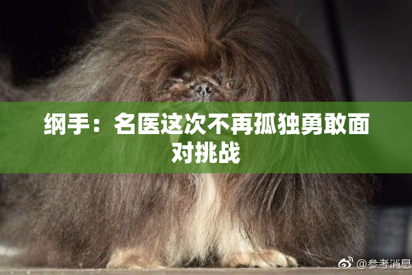 纲手：名医这次不再孤独勇敢面对挑战
