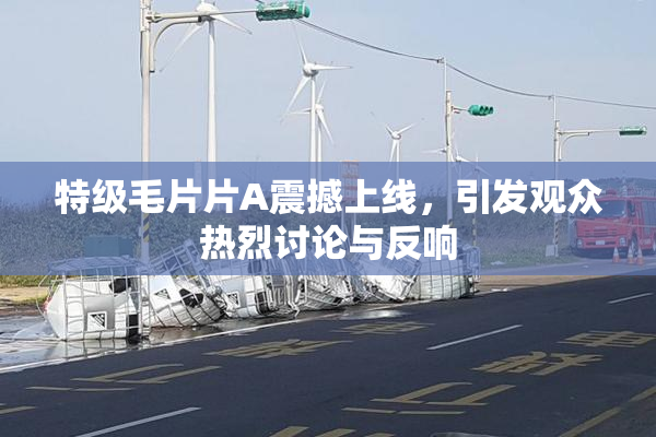 特级毛片片A震撼上线，引发观众热烈讨论与反响
