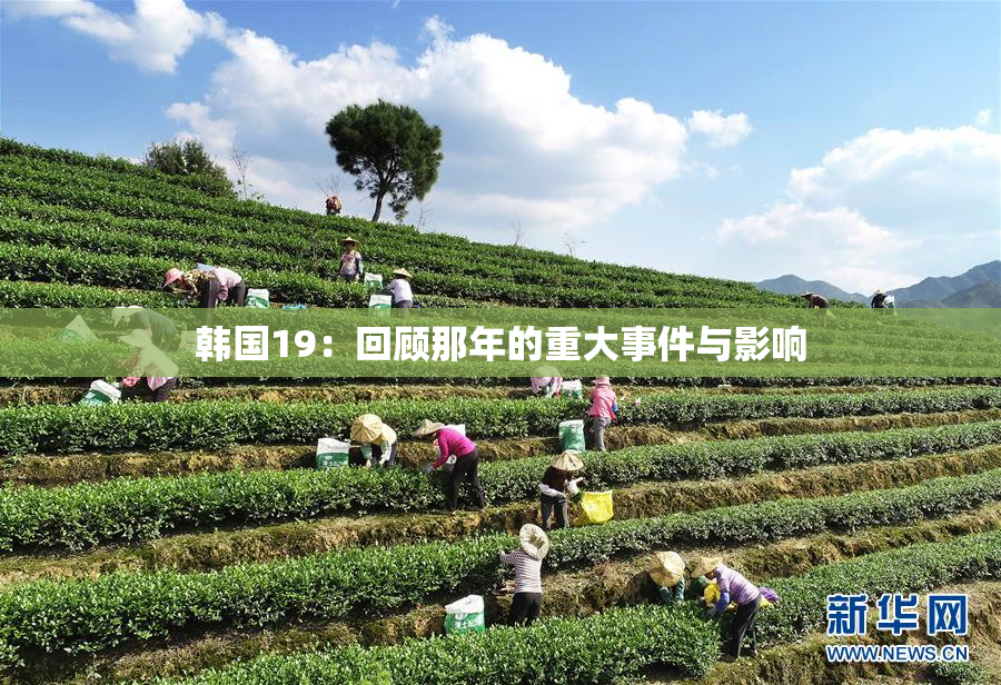 韩国19：回顾那年的重大事件与影响