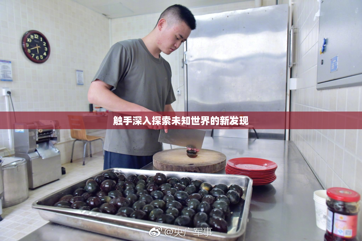 触手深入探索未知世界的新发现