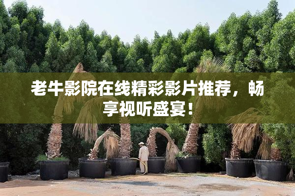 老牛影院在线精彩影片推荐，畅享视听盛宴！