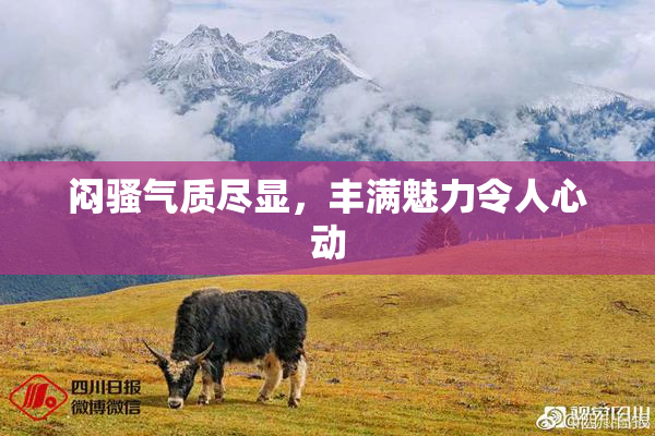 闷骚气质尽显，丰满魅力令人心动