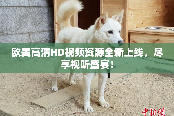 欧美高清HD视频资源全新上线，尽享视听盛宴！