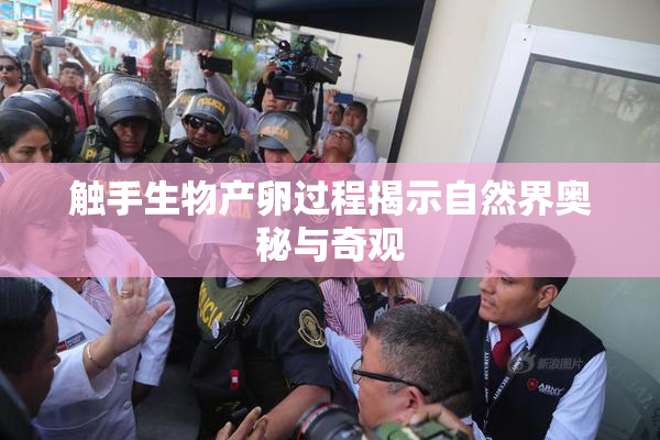 触手生物产卵过程揭示自然界奥秘与奇观