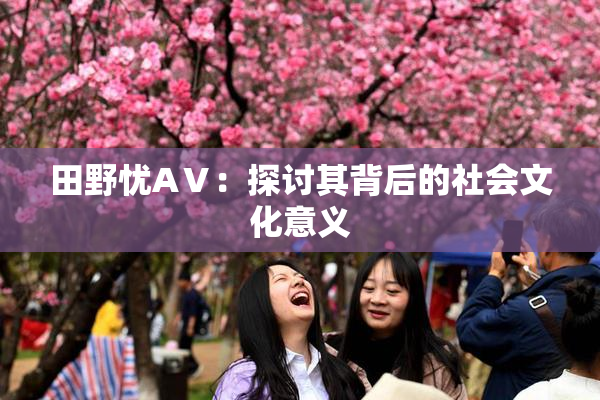 田野忧AⅤ：探讨其背后的社会文化意义