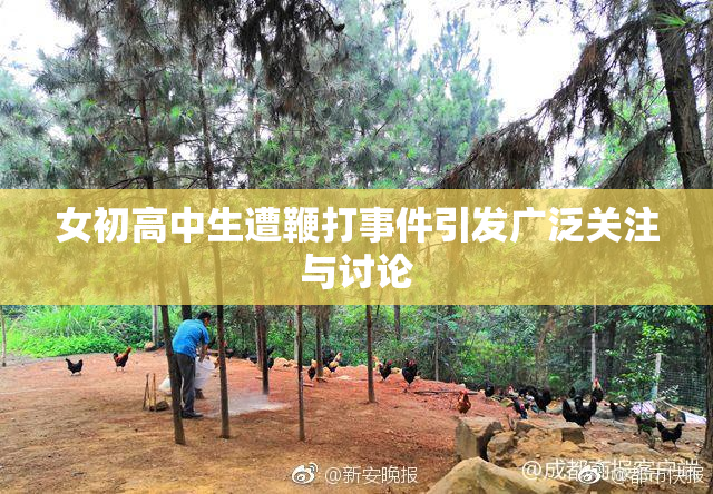 女初高中生遭鞭打事件引发广泛关注与讨论