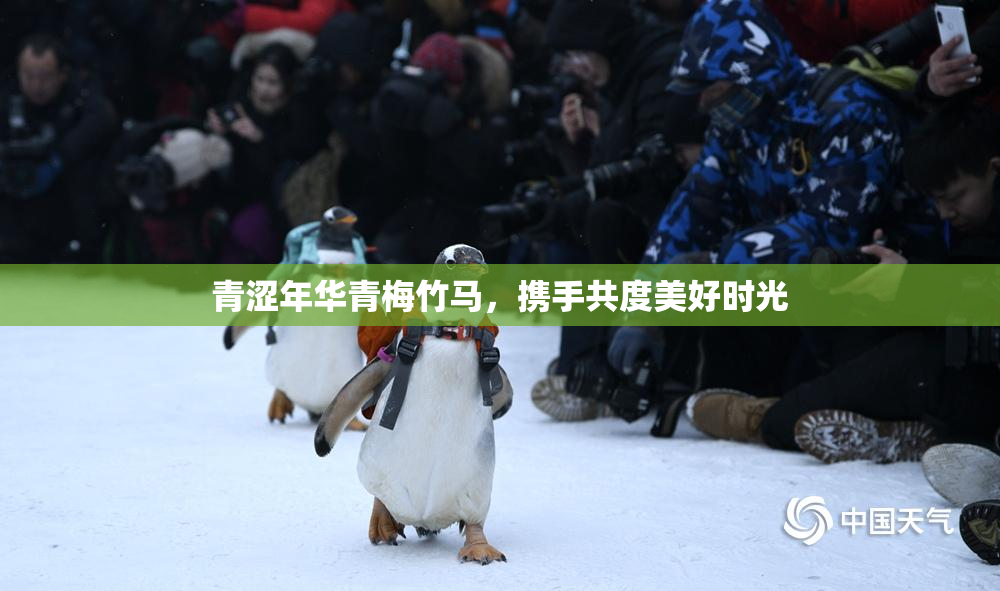 青涩年华青梅竹马，携手共度美好时光