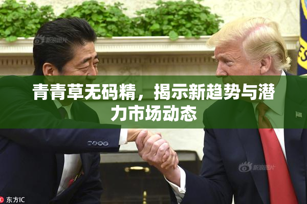 青青草无码精，揭示新趋势与潜力市场动态
