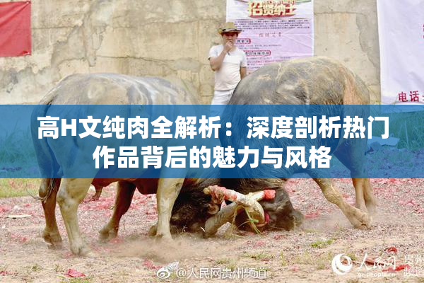 高H文纯肉全解析：深度剖析热门作品背后的魅力与风格