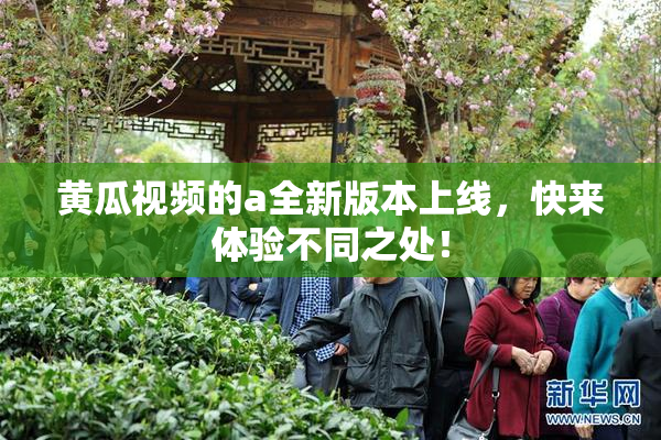 黄瓜视频的a全新版本上线，快来体验不同之处！